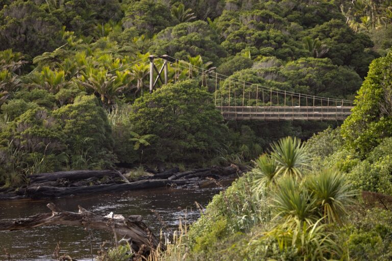 Heaphy Track Karamea, West Coast 12 (credit Clint Trahan)-large