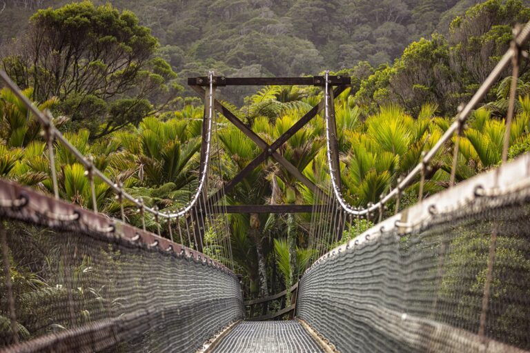 Heaphy Track Karamea, West Coast 13 (credit Clint Trahan)-large