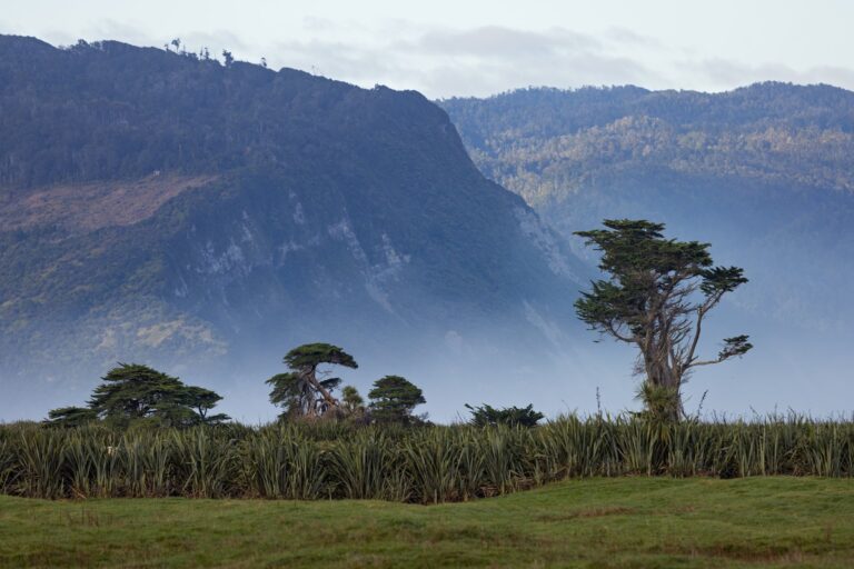 Karamea, West Coast (credit Clint Trahan)-large