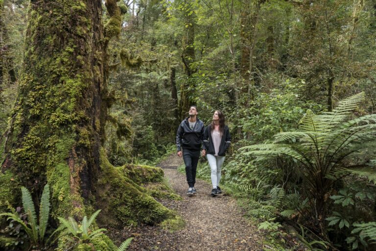 Oparara Arches, West Coast 8 (credit Stewart Nimmo)-large