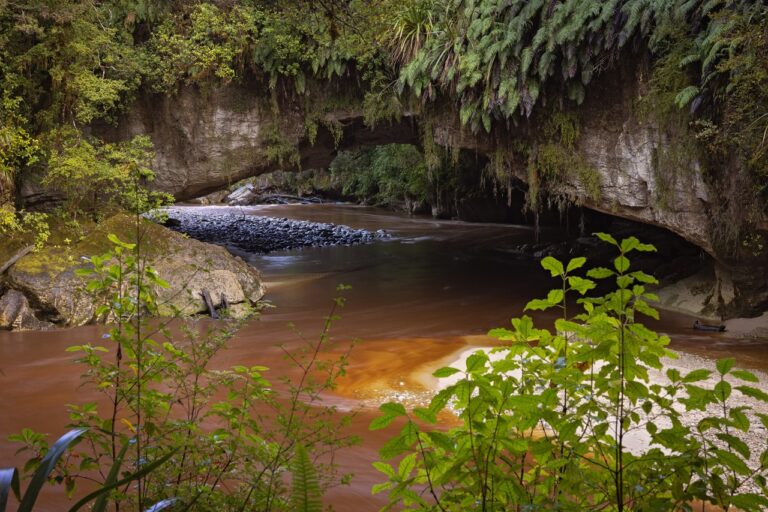 Ōpārara Basin Arches, West Coast (credit Clint Trahan)-medium