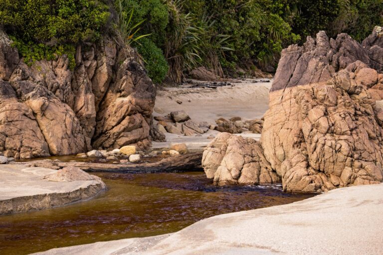 Scotts Beach, Karamea 20 (credit Clint Trahan)-large