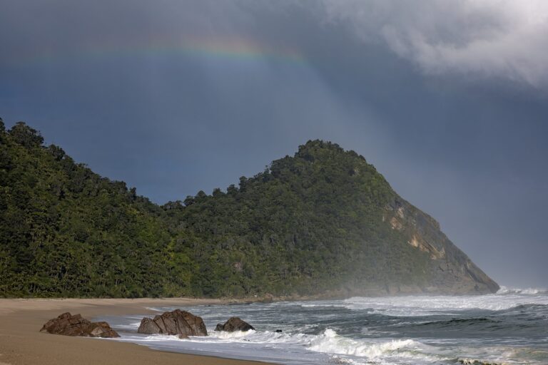 Scotts Beach, Karamea 47 (credit Clint Trahan)-large