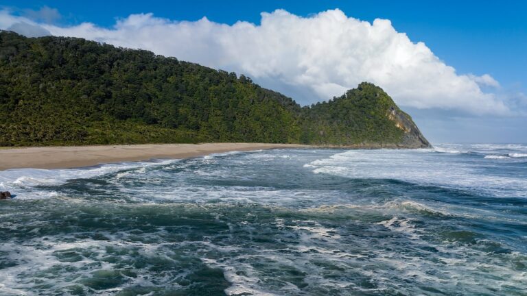 Scotts Beach, Karamea 8 (credit Clint Trahan)-large